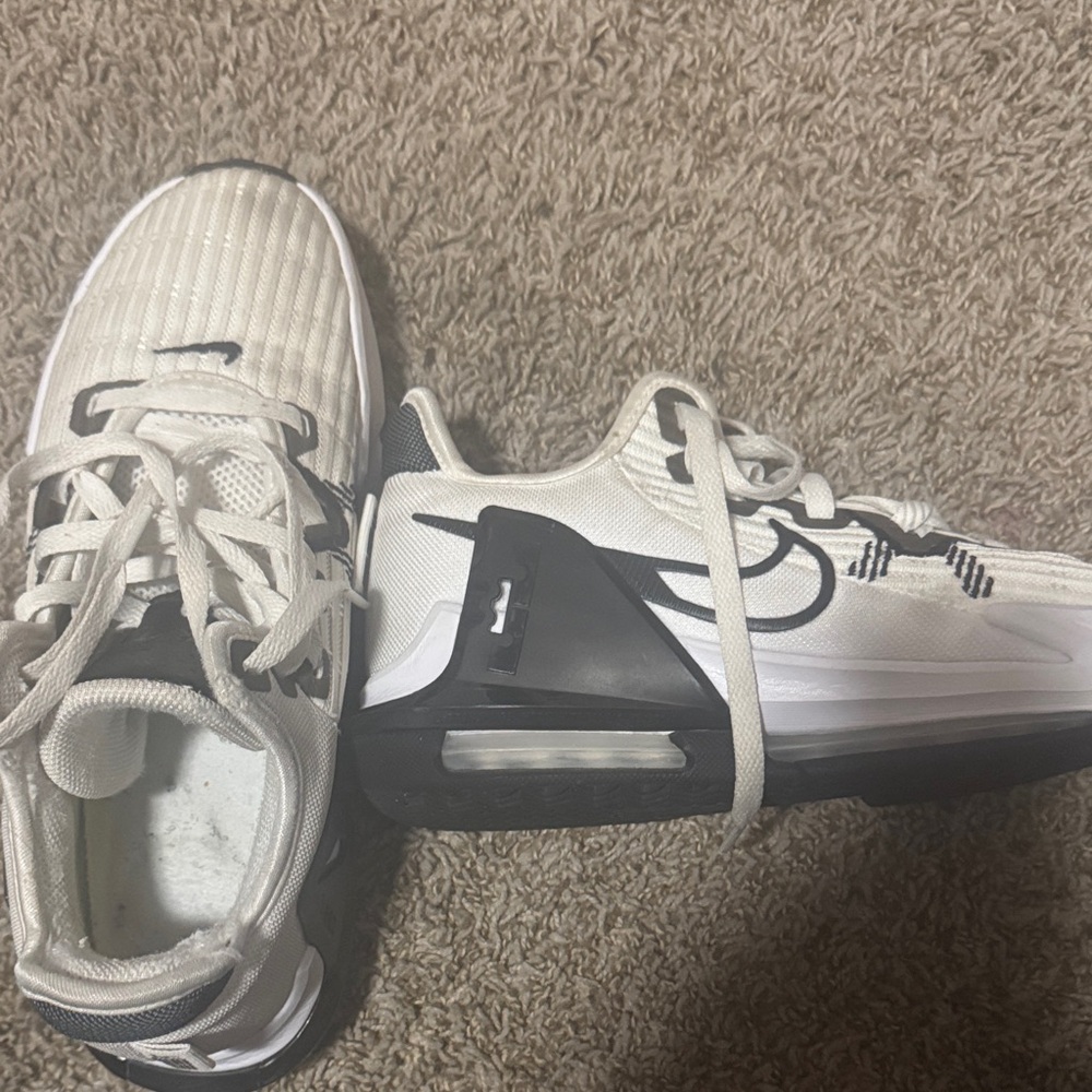 Lebron Witness 6